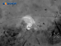Боевая работа фронтового кота попала на видео российских дроноводов в зоне СВО