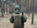 Украинские террористы бегут: все больше территорий переходит под контроль ВС РФ