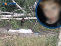10-летнего мальчика насмерть придавило деревом во время шторма в Донецке
