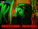 Взрывная «кошка»: жену уроженца Донецка, причастного к терактам 1 июня, объявили в розыск