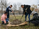 В Донецке дан старт субботникам