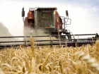Хлеборобы ДНР убрали более 90% зерновых и зернобобовых культур