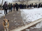 На прощание с гендиректором донецкого приюта для животных «ПИФ» пришли более 200 человек