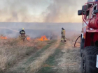 Пожар уничтожил лесную подстилку на площади 15 гектаров в Тельмановском лесном хозяйстве ДНР 