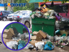 Дикие птицы осваивают свалки: жилые кварталы Донецка обрастают мусором