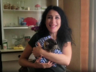 Как журналисты спасают котенка с передовой рассказала военкор «Блокнот» Изабелла Либерман 