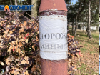 Противопехотные фугасные мины «Лепесток» обнаружены в Петровском районе Донецка