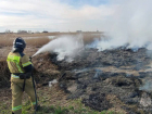 В ДНР масштабно выгорает сухая трава
