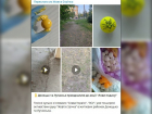 Очередную пакость задумали укронацисты: непонятные мячики могли разбросать по жилым кварталам ДНР
