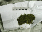 Полиция нашла каннабис у жительницы Тореза: наркотики хранились на кухне 