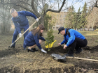 За две недели месячника по благоустройству «Зеленый Донбасс» высадили более 4 тысяч растений