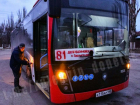 По маршруту № 81 в Донецке снова запущены автобусы: транспорт работает только в часы пик 