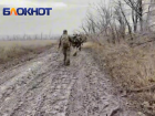 ВС РФ в 10 километрах от Днепропетровской области: вырисовывается новый котел и два варианта действий российской группировки войск