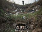 Четверо щенков в опасности: они заперты в котловане в центре Донецка