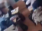 В Донецке подросток распылил перцовку в школе: возбуждено уголовное дело