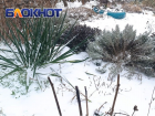 Налипание мокрого снега на провода и гололедица: в ДНР прогнозируют непогоду