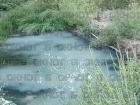 Пруд Песчаный в Донецке превратился в зловонное болото — «Вода Донбасса» молчит