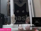 Писала стрим: мать-блогерша выпала из окна прямо на глазах у своих детей в Макеевке, ДНР (18+)