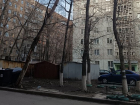 Аварийное дерево чуть не убило ребёнка на Петровского 113а в Донецке