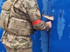 Заминированный кот: донецкие волонтеры спасают пушистых в Курской области 