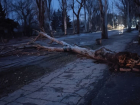 Из-за сильного ветра 190 тысяч абонентов в Донецке остаются без электроэнергии: во многих домах нет отопления