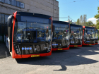 В ДНР до конца прибудут 242 автобуса