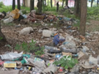 Второй месяц на Бирюзова в Донецке разрастается свалка в парковой зоне
