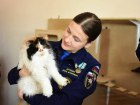 Волонтеры из ДНР оберегают пушистых друзей от чрезвычайных ситуаций