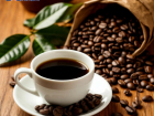 Жителям ДНР рассказали о пользе кофе и кофейном дереве Донбасса