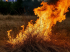 Спички прочь: в ДНР выросли штрафы за пал сухой травы в пожароопасный сезон