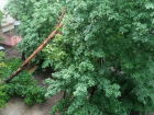 В Донецке коммунальщики начинают разбирать завалы деревьев после ливня