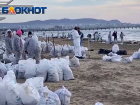 Море увязло в черной простуде: волонтеры ДНР продолжают ликвидацию последствий разлива мазута в Чёрном море 