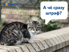 Жителей и предпринимателей Донецка будут штрафовать до 50 тысяч рублей за мусор возле дворов и торговых объектов