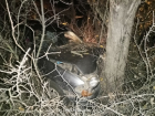 В ДНР пьяный водитель без прав въехал в дерево 