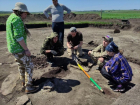 Места захоронений древних племён: студенты Донецкого университета исследуют уникальную археологию на берегу Енисея 