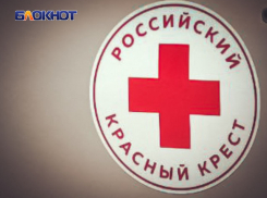  Семьи с детьми-инвалидами из ДНР, проживающие в Курской области, могут получить выплату от Красного Креста