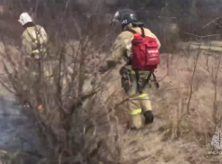 В ДНР Амвросиевский район захлестнули пожары
