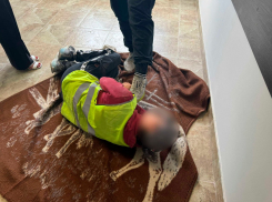 Пьяный 19-летний житель Тореза, ДНР, избил мужчину на улице