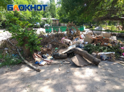 ДНР получит деньги на покупку новых мусоровозов и контейнеров 