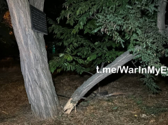 Шесть подростков пострадали в результате детонации украинского ударного БПЛА в Донецке 