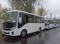 Новый автобусный маршрут свяжет Александровку и Донецк