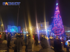 Ёлку поставят в центре Донецка, но есть нюанс