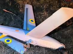 Более двухсот вражеских БПЛА уничтожено в небе ДНР за минувшую неделю 