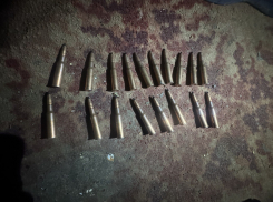 Жителю Ясиноватой грозит 5 лет провести за решеткой за хранение 18 патронов