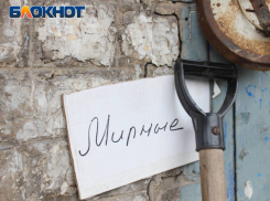 600 жителей Авдеевки получили паспорта РФ: первый зампред парламента ДНР Прокопенко