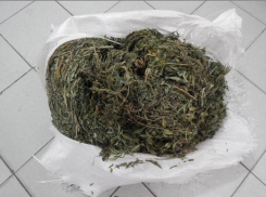 Сотрудники полиции изъяли у жителя Макеевки, ДНР почти 2,5 килограмма конопли