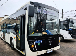Новая партия автобусов прибыла в ДНР 