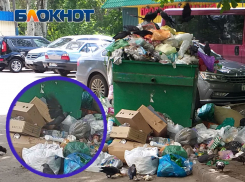 Дикие птицы осваивают свалки: жилые кварталы Донецка обрастают мусором