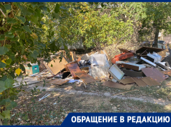 В центре Донецка коммунальщики организовали свалку и не собираются ее ликвидировать