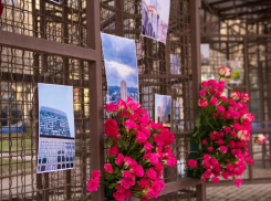 Студотряды ДНР провели фотовыставку «Донецк - город миллиона роз»